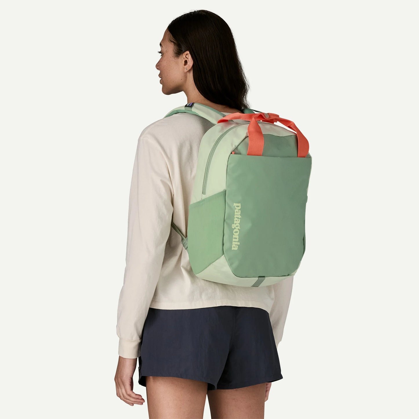Patagonia Atom Tote Bag 20L