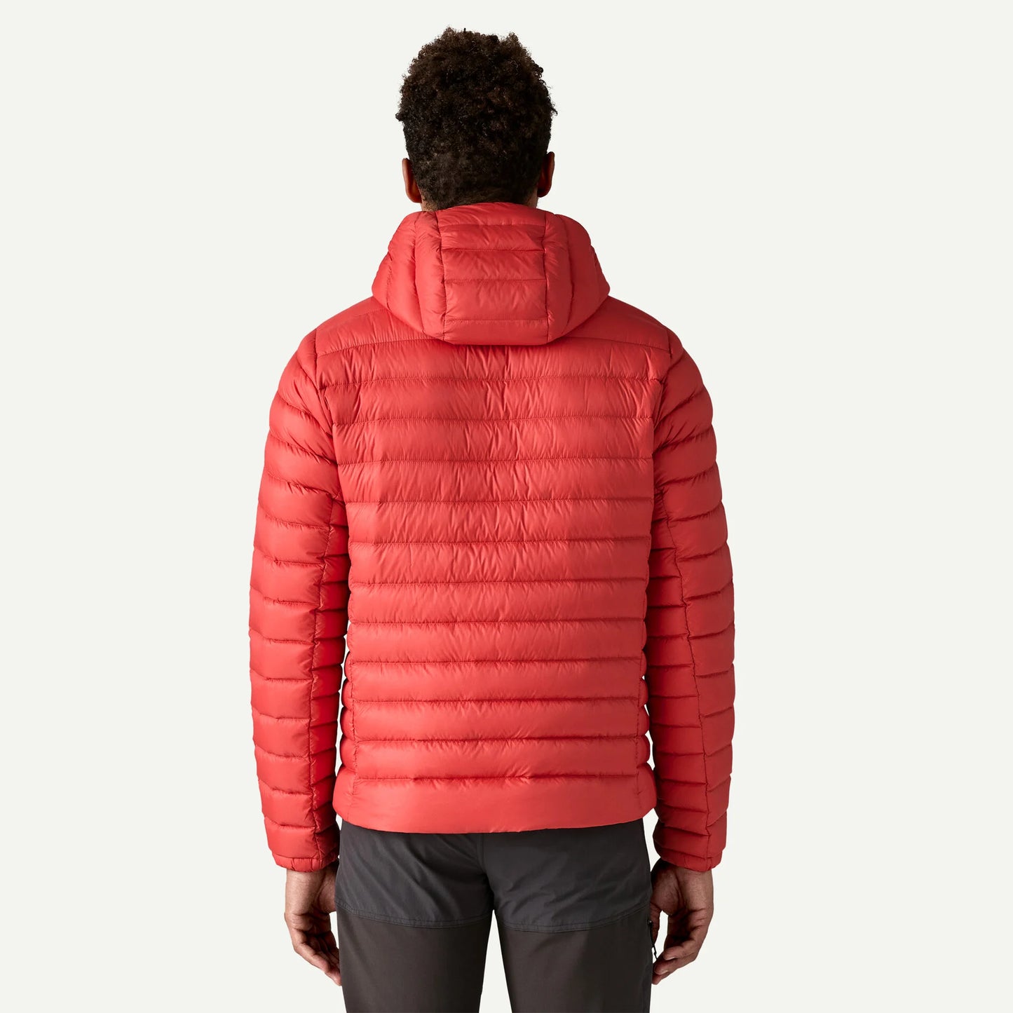 Patagonia Down Sweater Hoody