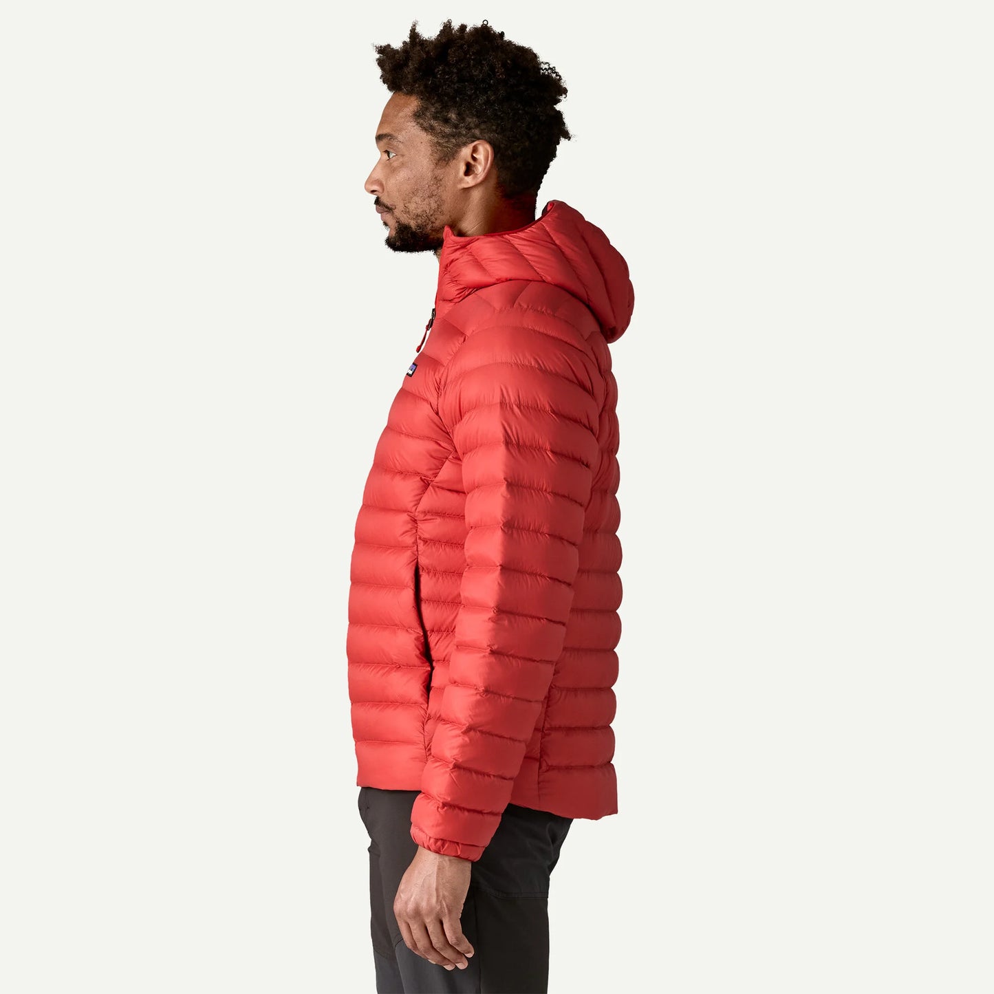 Patagonia Down Sweater Hoody
