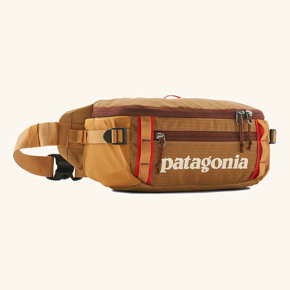 Patagonia Black Hole Waist Pack 5L