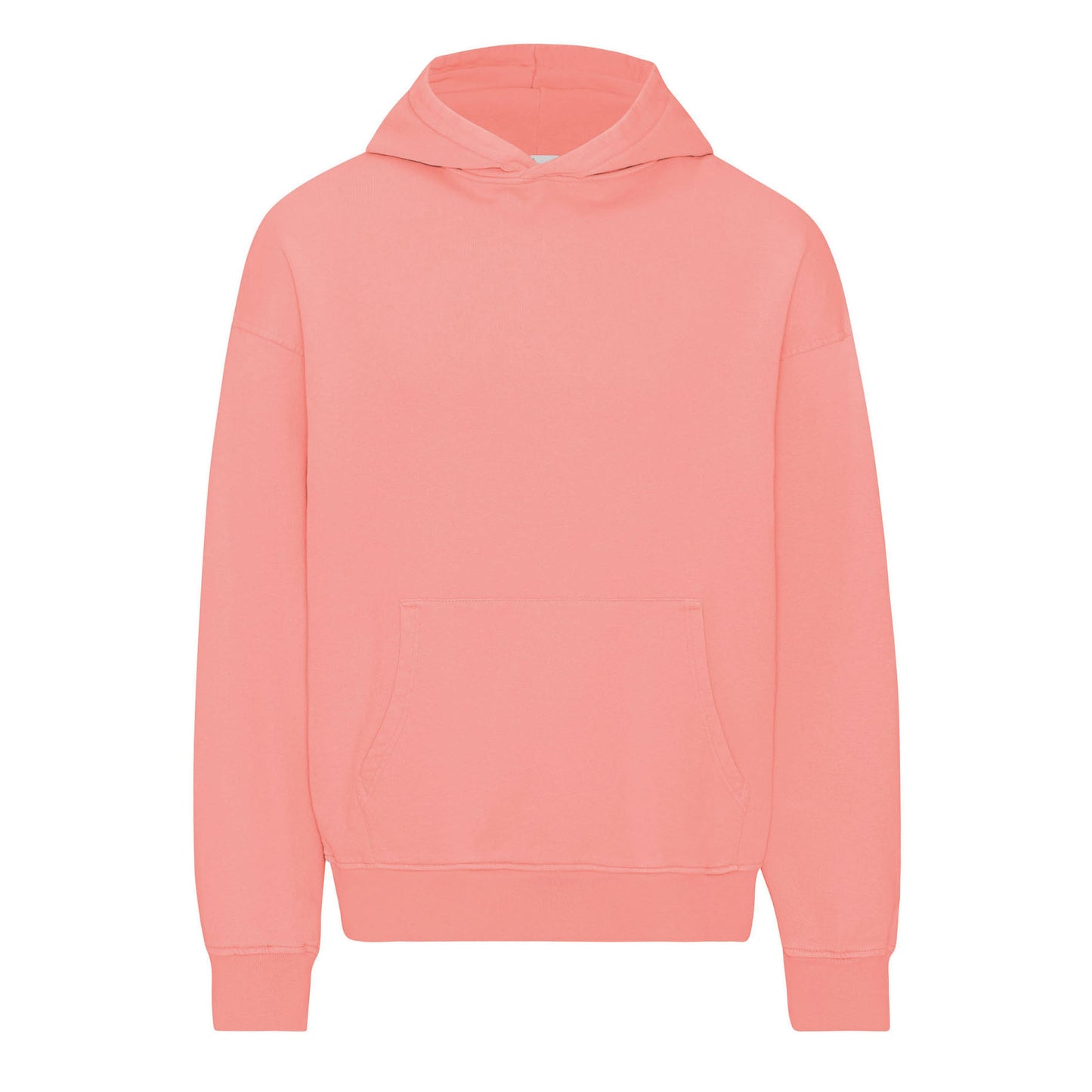 Colourful Standard Oversized Hoodie