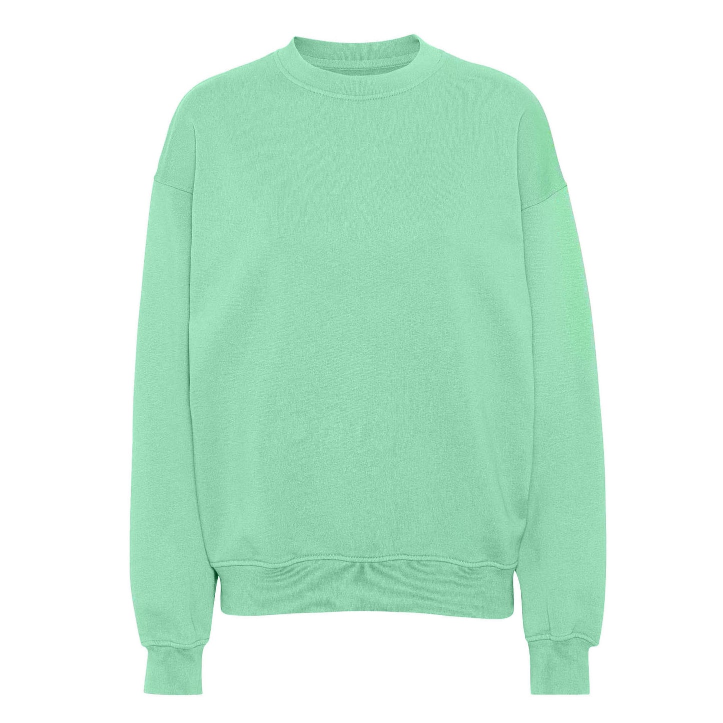 Colorful Standard Oversized Crew Sweatshirt